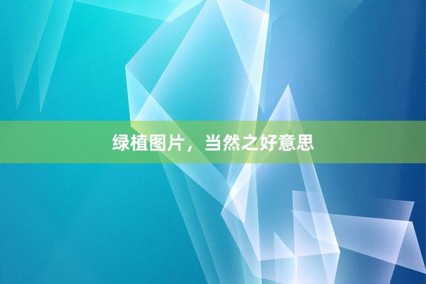 绿植图片,当然之好意思