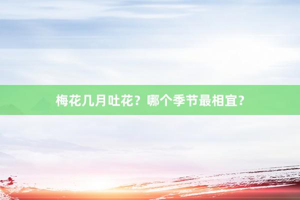 梅花几月吐花？哪个季节最相宜？