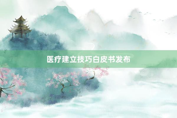医疗建立技巧白皮书发布