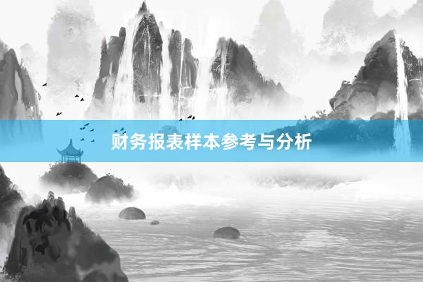 财务报表样本参考与分析